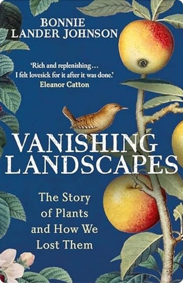 Vanishing Landscapes By Bonnie Lander Johnson